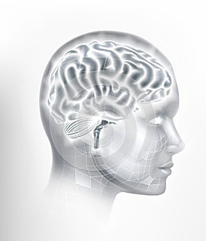 Human Brain AI Head Face Intelligence Concept