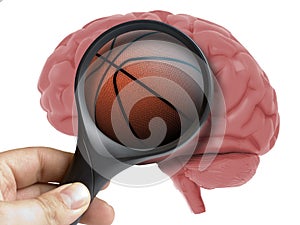 Human Brain Analyzed with magnifying glass basketball ball inside addiction isolated