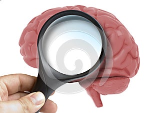 Human Brain Analyzed with magnifying glass blank copy space inside