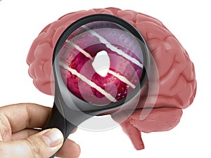 Human Brain Analyzed with magnifying glass donut sweet inside addiction isolated