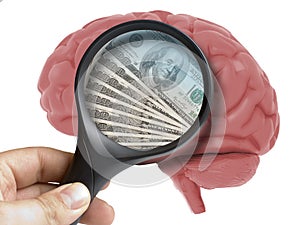 Human Brain Analyzed with magnifying glass money dollars banknotes usa inside addiction isolated