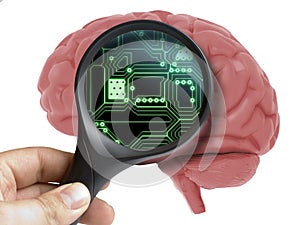 Human Brain Analyzed with magnifying inside electronic circuit artificial intelligence isolated