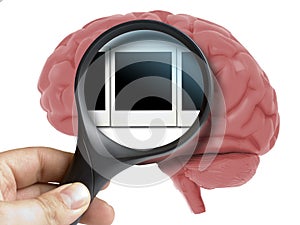 Human Brain Analyzed with magnifying memories polaroid snapshots inside isolated photo