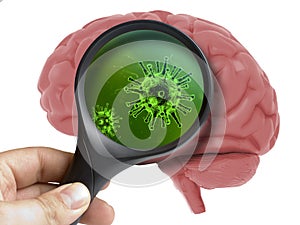 Human Brain Analyzed with magnifying virus bacterial microbe inside isolated