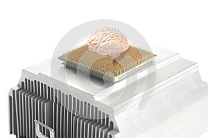 Human brain anatomical model on CPU processor microchip