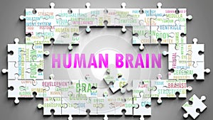 Human Brain as a complex subject, related to important topics spreading around as a word cloud photo