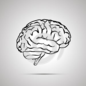 Human brain, black icon