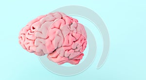 human brain on blue background