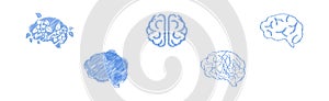 Human Brain Blue Icon and Drawn Symbol Vector Set