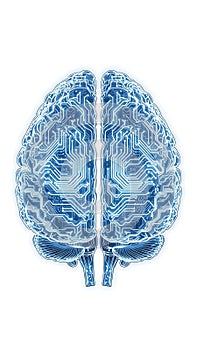 Human brain with circuit board pattern representing artificial intelligence concept