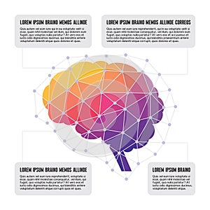 Human Brain - Colored Polygon Infographic Concept