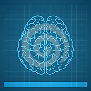 Human Brain Concept on Blue Background