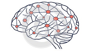 A human brain with a connected neural network illustration. vector design Generative AI