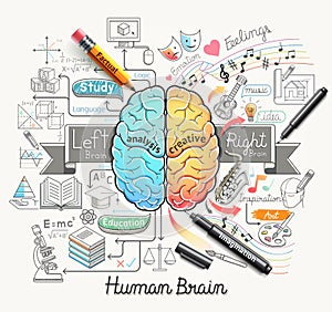 Human brain diagram doodles icons style.