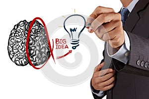 Human brain diagram Left and right brain functions