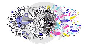 Human brain divided into right and left cerebral hemispheres responsible for different functions - creativity or arts