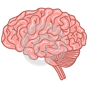 Human Brain Doodle Art Drawing Vector Illustration