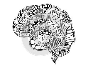 Human brain doodle decorative curves, creative mind