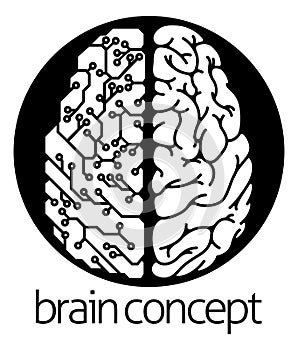 Human brain electrical circuit circle