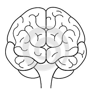 Human brain front view. Line illustration