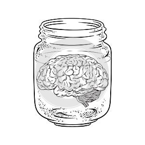 Human brain in glass jar . Sticker, print or blackwork tattoo design hand drawn vector illustration photo
