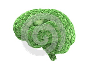 Human brain with green grass