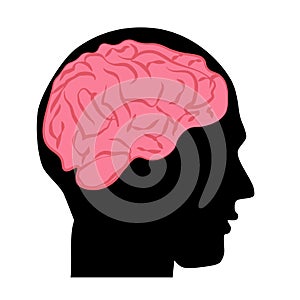 Human brain health and care vector illustration