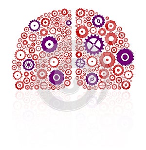 Human Brain Hemispheres