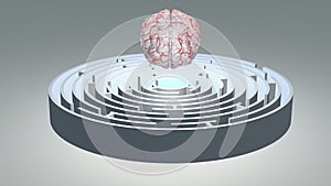 Human Brain Hovers above Circular Maze