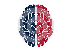 Human brain icon colored isolated vector image