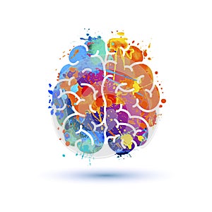 Human brain icon. Splash paint