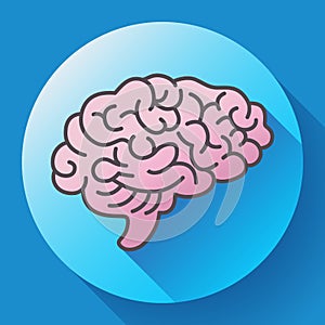 Human brain icon, symbol of intellect, study, learning and education.