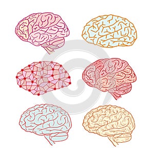 Human brain icon, vector illustration