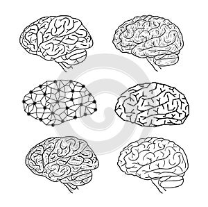 Human brain icon, vector illustration