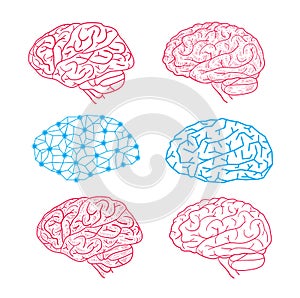 Human brain icon, vector illustration.