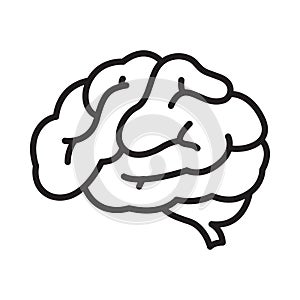 Human brain icon on white background