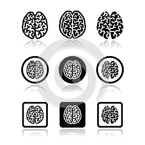 Human brain icons set - intelligence, creativity concept