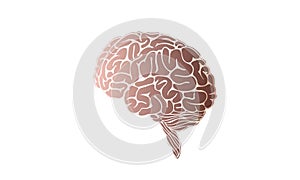 Human brain illustration, side view, vector