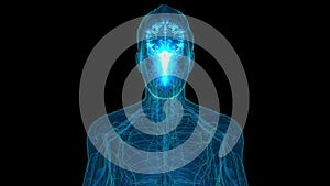 Human Brain with impulse Receiving and transmitting