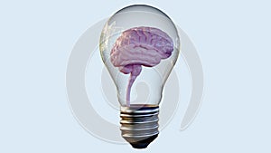 human brain inside of glass light bulb