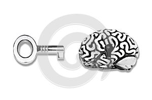 Human brain with a keyhole and a key on white