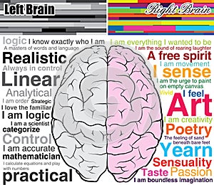 Human brain left and right, what you are