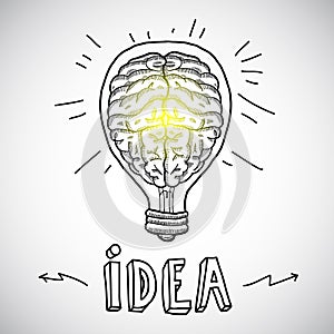 Human brain in lightbulb sketch