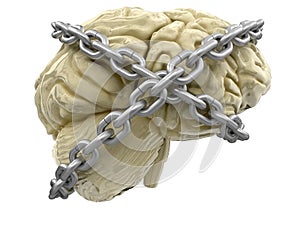Human brain and lock (clipping path included)