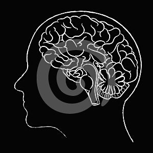 Human brain medical vector illustration isolated on black background