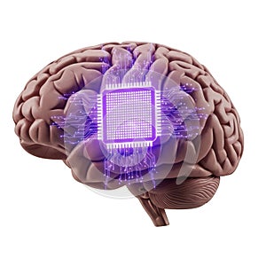 Human brain merged with advanced technology microchip representing ai and digital innovation