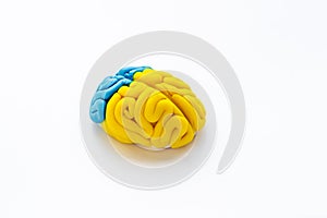 Human brain. Model of clay. Mental health background