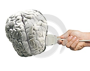 Human brain model with computer connection.