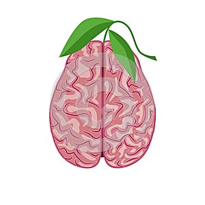 Human brain, nervous system. Healthy brain concept, ecological thinking, vector illustration