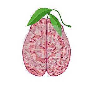 Human brain, nervous system. Healthy brain concept, ecological thinking, vector illustration